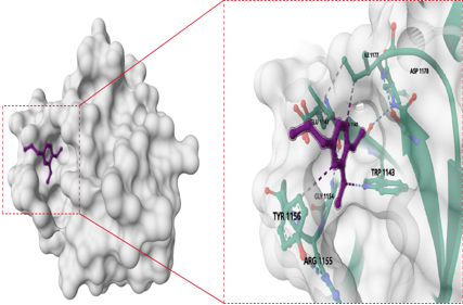 Overview of the research methods of protein small molecule interactions