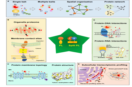 Introduction to proximity marking technology