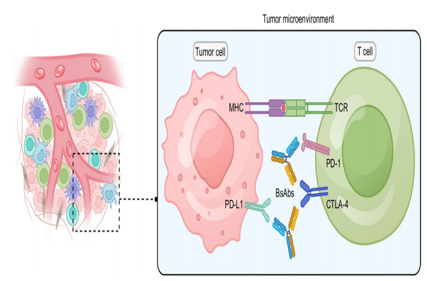 Dual blockade immunotherapy targeting PD-1/PD-L1 and CTLA-4 in lung cancer