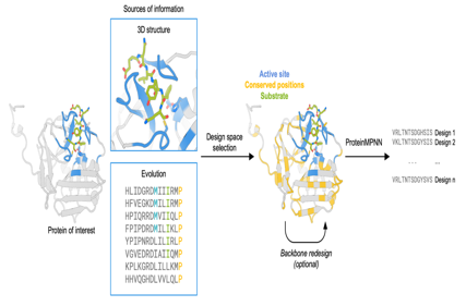 Improving Protein Expression, Stability, and Function with ProteinMPNN
