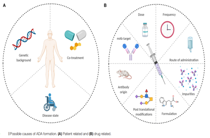 Developability considerations for bispecific and multispecific antibodies
