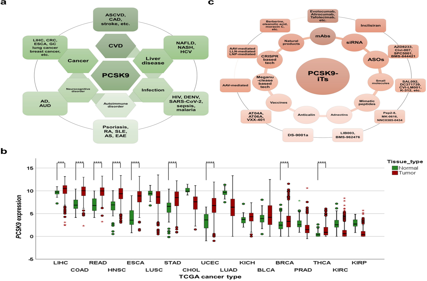 Lipid control protein PCSK9