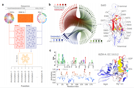 Accurate prediction of protein function using statistics informed graph networks
