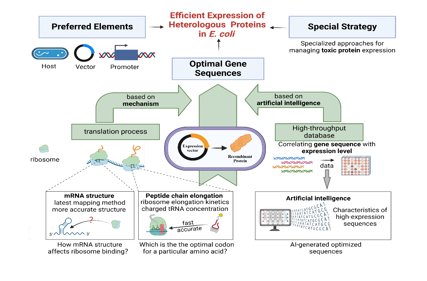 Strategies to overcome the challenges of low or no expression of heterologous proteins in Escherichia coli