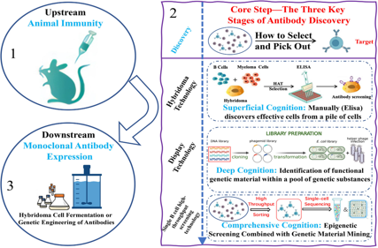 The challenges and breakthroughs in the development of diagnostic monoclonal antibodies