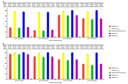 Early determination of potential critical quality attributes of therapeutic antibodies in developability studies through surface plasmon resonance based relative binding activity assessment