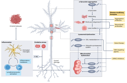 Parkinson's disease treatment target SNCA