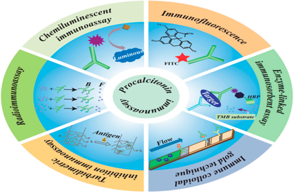 The sepsis biomarker PCT
