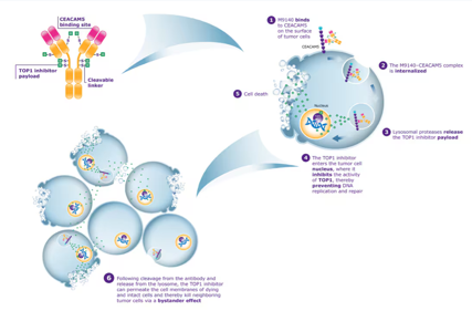 Broad spectrum tumor markers CEA
