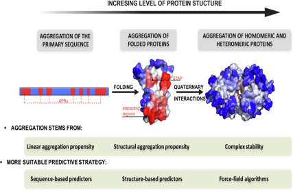 AggreProt: a web server for predicting and engineering aggregation pron eregions in proteins