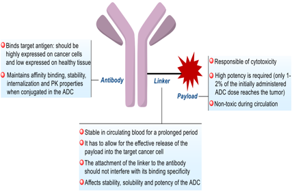 The introduction of ADC drug Payload