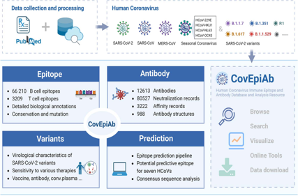 CovEpiAb: a comprehensive database and analysis resource for immune epitopes and antibodies of human coronaviruses