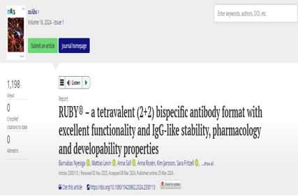 Functional IgG-like stability and pharmacological studies of tetravalent bispecific antibodies