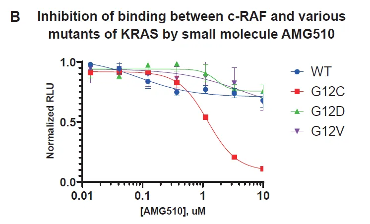 Lumit®PPI技术应用：生化水平高效监测KRAS与cRAF的相互作用