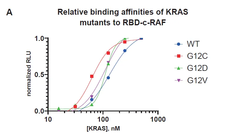 Lumit®PPI技术应用：生化水平高效监测KRAS与cRAF的相互作用