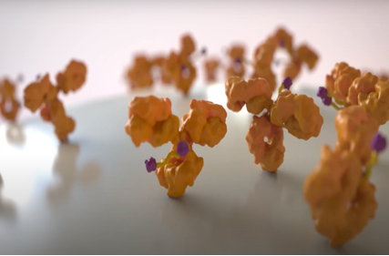 The advent of the era of antibody coupled drug ADC