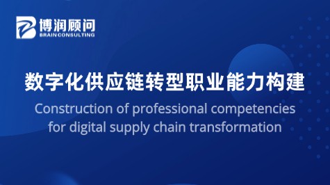 数字化供应链职业能力构建