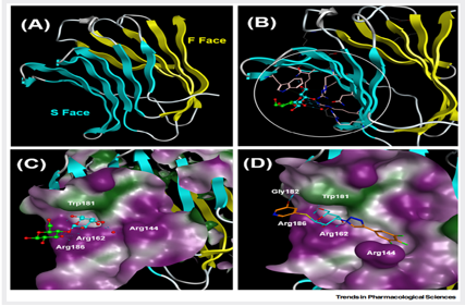 Target for Alzheimer's disease treatment LGALS3