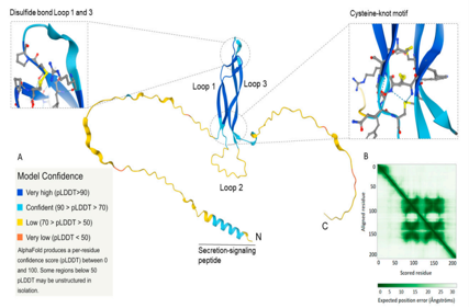 The osteogenesis inhibitor SOST