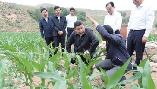 “以竹代塑”新时代:公司正式更名“阳竹科技”(400177)! “以竹代塑”新时代:公司正式更名“阳竹科技”(400177)!