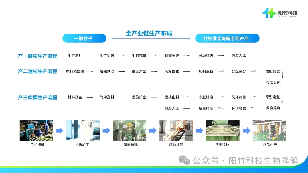 “以竹代塑”浪潮涌动,阳竹科技凭四大技术领航环保新赛道 “以竹代塑”浪潮涌动,阳竹科技凭四大技术领航环保新赛道
