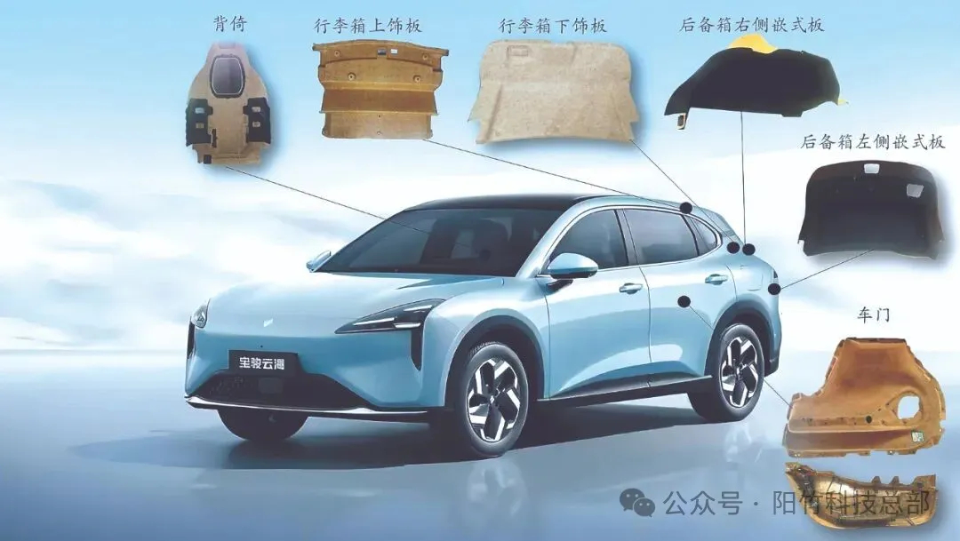 转载丨“以竹代塑”新赛道 竹纤维新材料“上车” 转载丨“以竹代塑”新赛道 竹纤维新材料“上车”