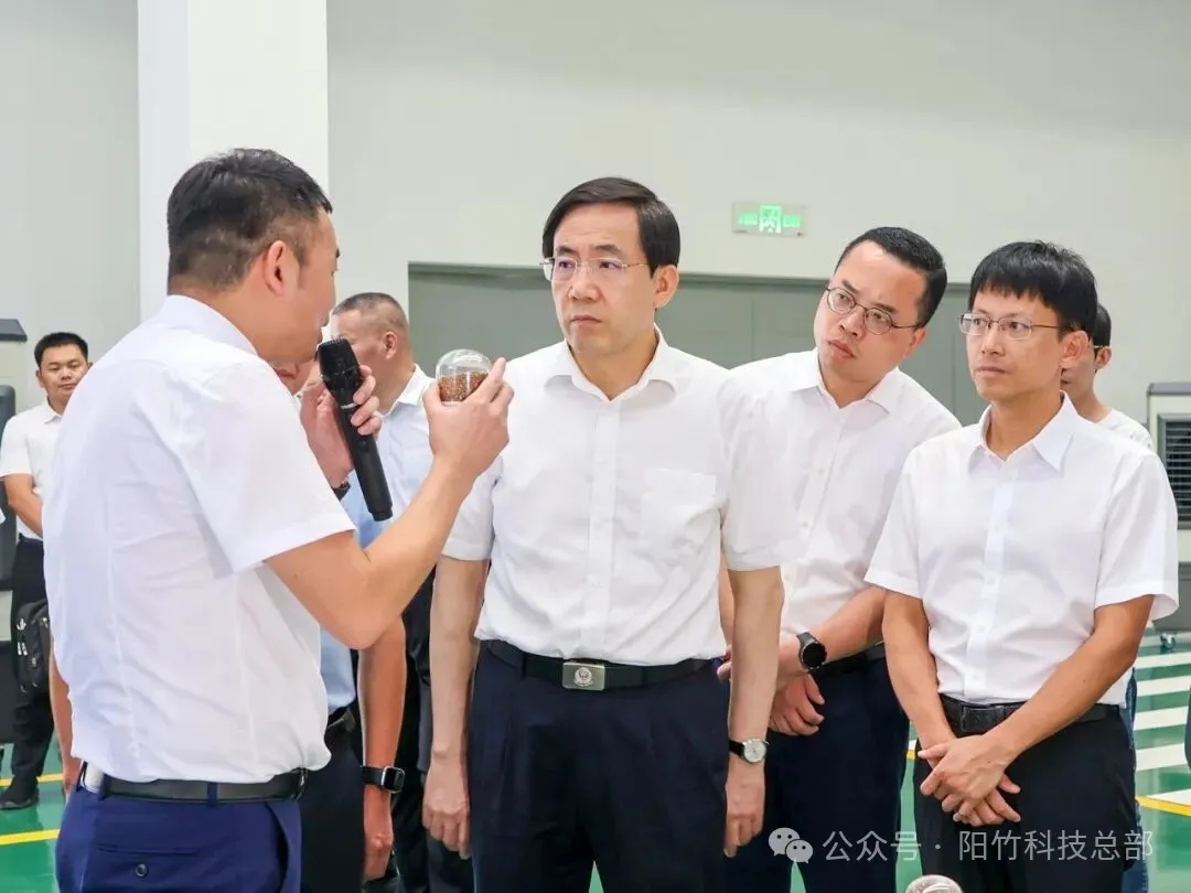 省政协领导莅临公司子公司阳竹新材料调研，指导新材料产业高质量发展