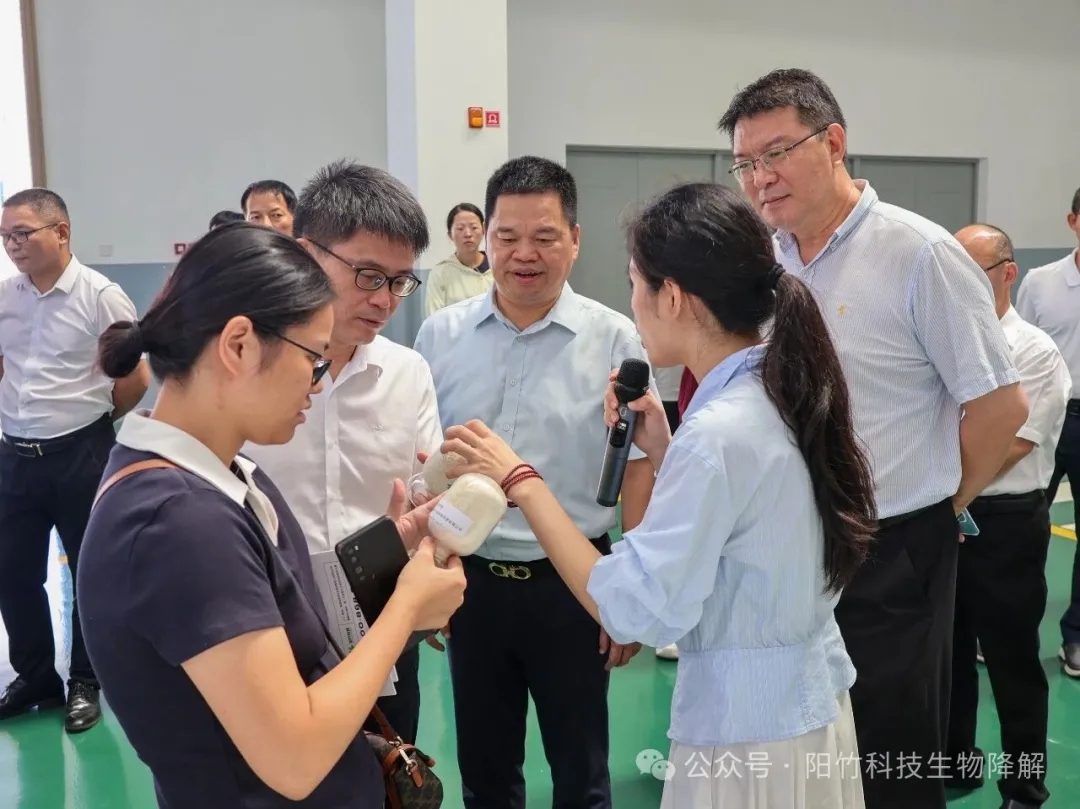 泉州市科学技术协会领导莅临公司子公司阳竹新材料生产基地调研