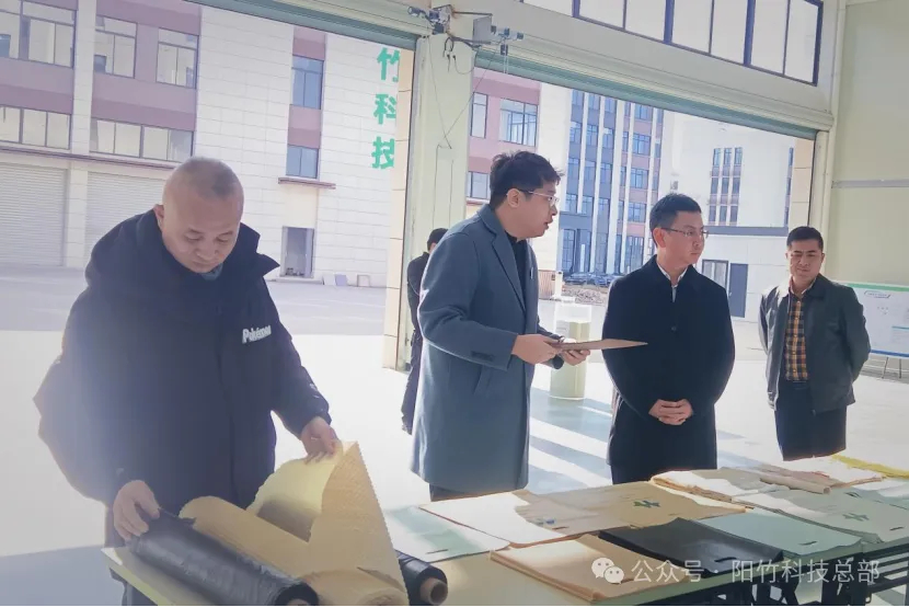 竹林摇曳迎嘉宾,创新驱动促发展——福建省发改委主任孟芊一行调研阳竹科技南平项目 竹林摇曳迎嘉宾,创新驱动促发展——福建省发改委主任孟芊一行调研阳竹科技南平项目