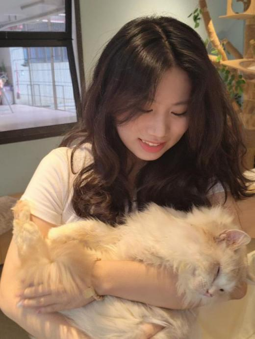 从“萌新”到“可靠输出者”:洛亚所实习生的闯关升级实录 从“萌新”到“可靠输出者”:洛亚所实习生的闯关升级实录