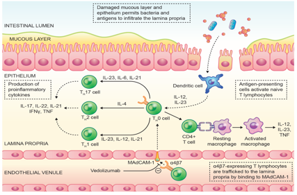 The integrin subunit ITGA4
