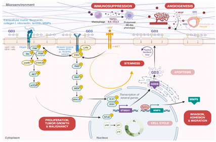 Disialoganglioside GD3