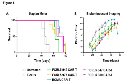 Immunotherapeutic target FCRL5