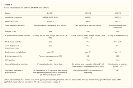 Dipeptidase DPEP3
