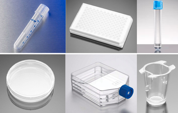 喜报!北京照生菜博商贸获康宁生命科学2026年度授权分销商资质 喜报!北京照生菜博商贸获康宁生命科学2026年度授权分销商资质