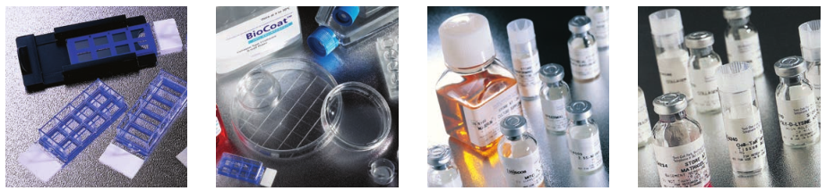 喜报!北京照生菜博商贸获康宁生命科学2026年度授权分销商资质 喜报!北京照生菜博商贸获康宁生命科学2026年度授权分销商资质