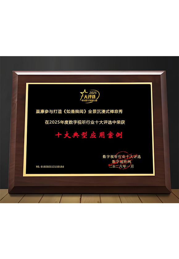 2025年度数字视听行业十大典型应用案例奖