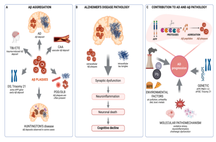 Amyloid precursor protein APP