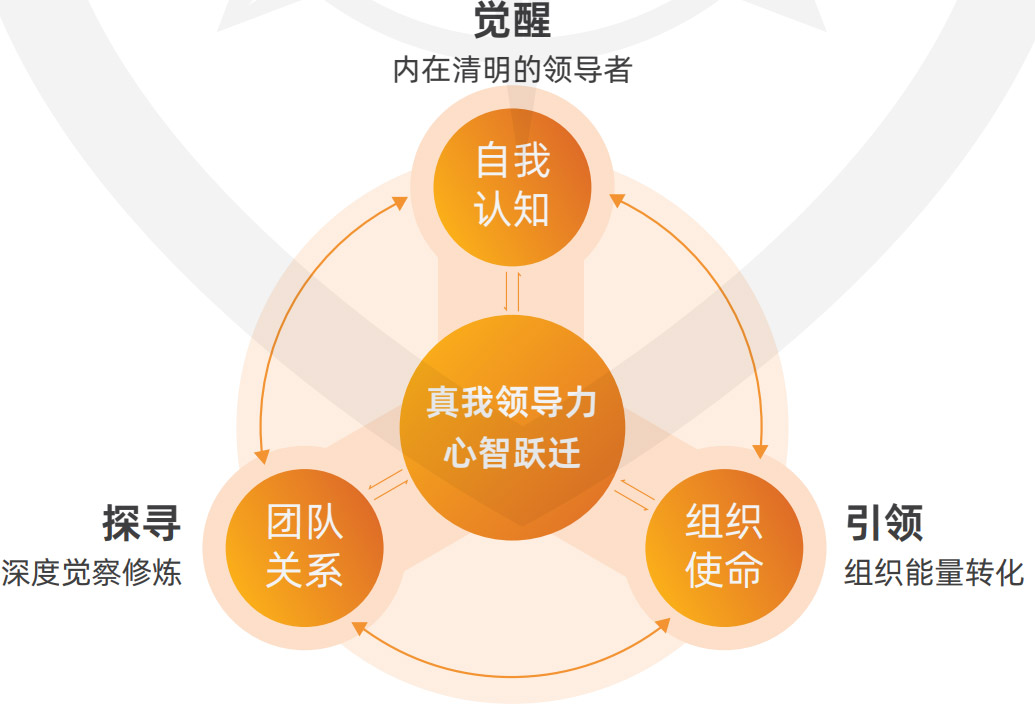真我领导力：领导者的心智跃迁