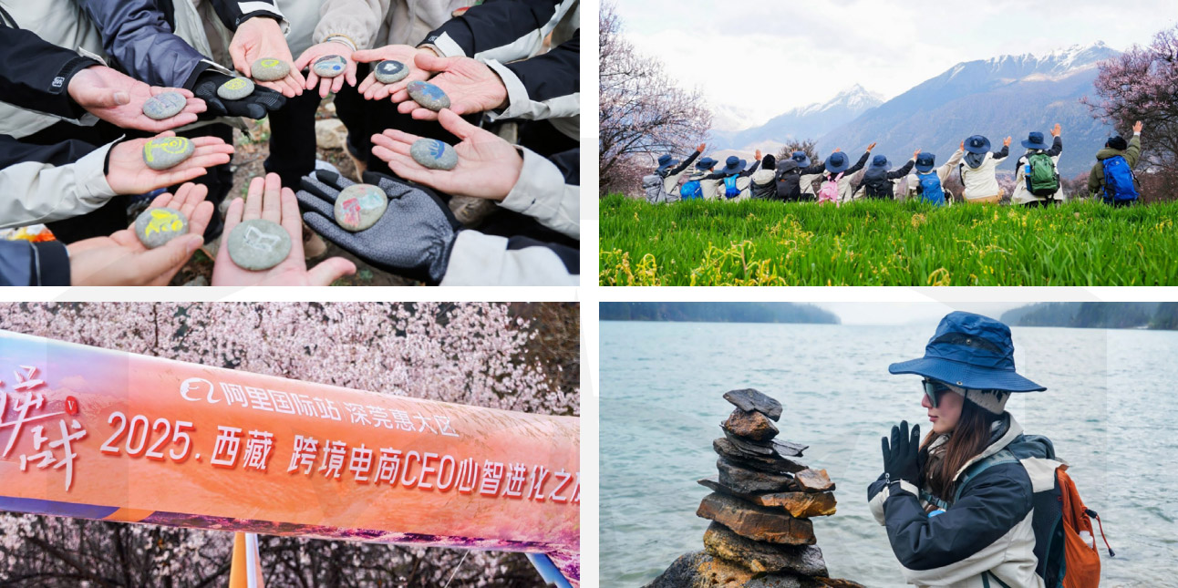 真我领导力：领导者的心智跃迁