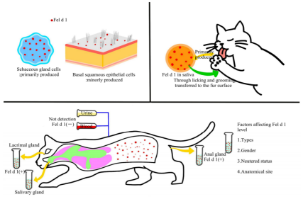 Cat Allergen Fel d 1